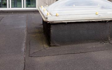 disadvantages of Broad Carr flat roofs